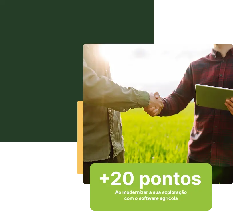 Técnico de Projetos