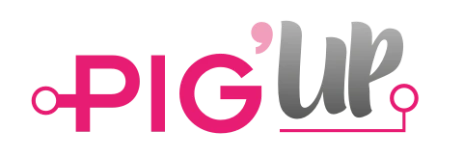 PigUp - Software de Gestão Suína